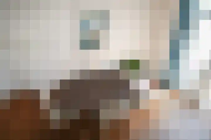 Sophiastraat 6 Zaltbommel thumbnail 13