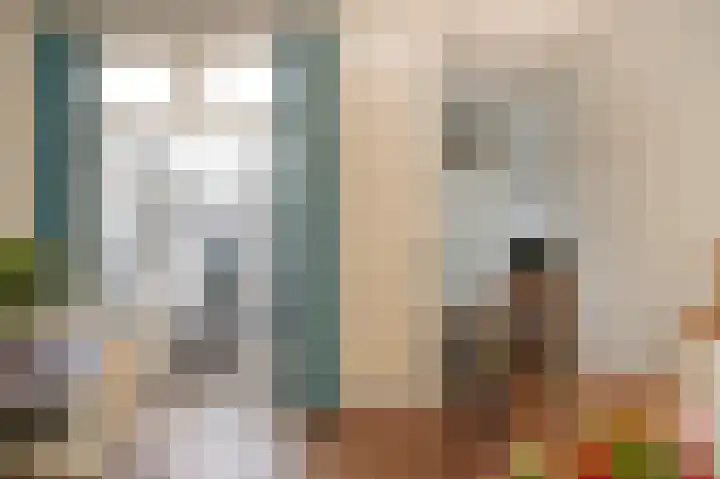 Sophiastraat 6 Zaltbommel thumbnail 15