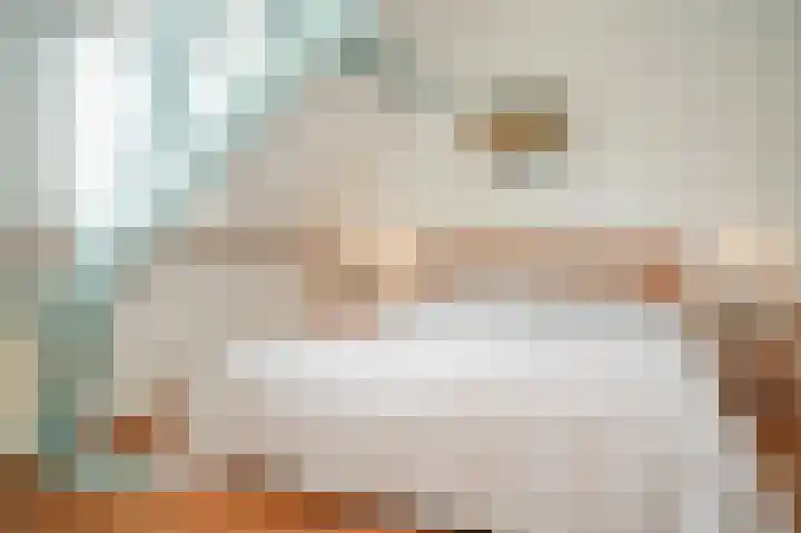 Sophiastraat 6 Zaltbommel thumbnail 19