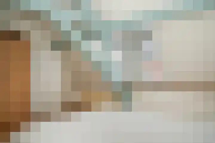 Sophiastraat 6 Zaltbommel thumbnail 21
