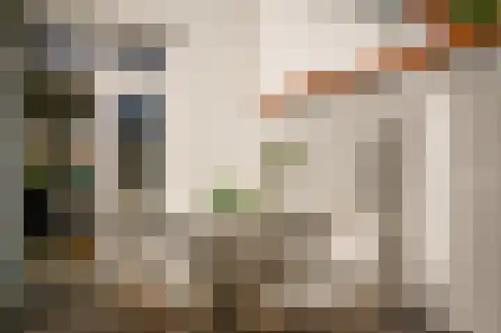 Sophiastraat 6 Zaltbommel thumbnail 30