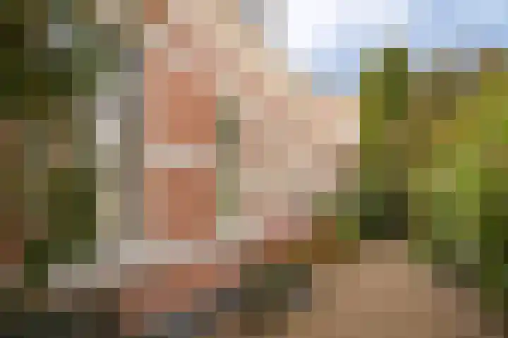 Sophiastraat 6 Zaltbommel thumbnail 34