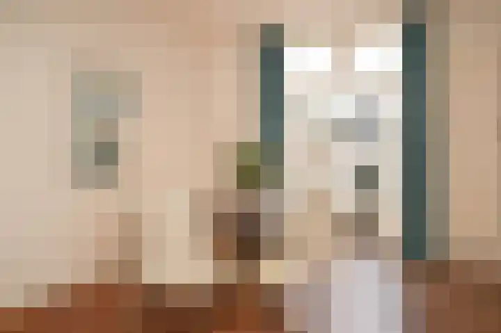 Sophiastraat 6 Zaltbommel thumbnail 8
