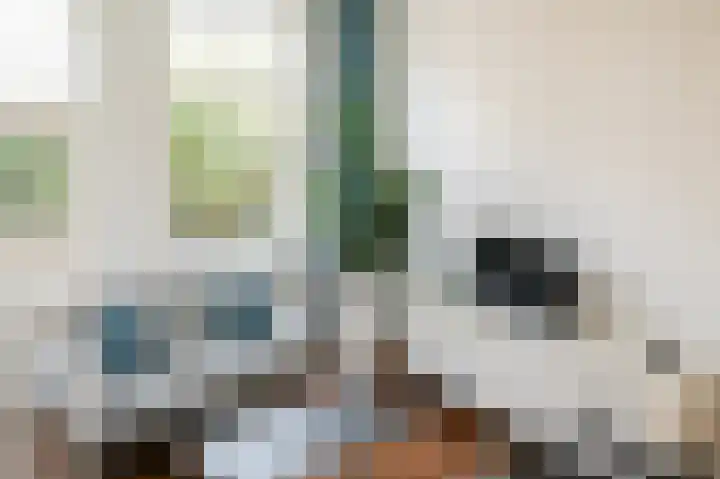 Sophiastraat 6 Zaltbommel thumbnail 9