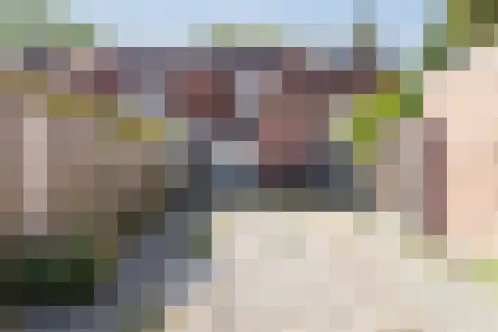 Sophiastraat 63 Waalre thumbnail 20