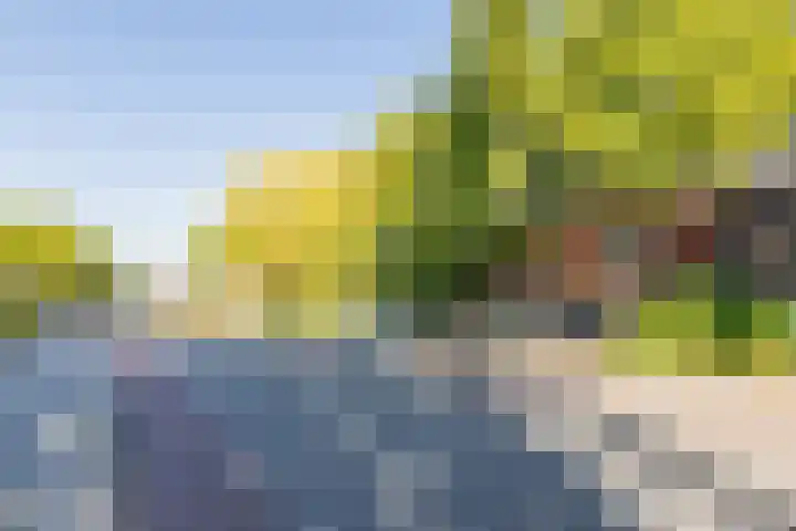 Sophiastraat 63 Waalre thumbnail 23