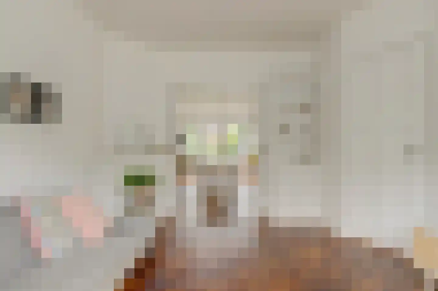 Sophiastraat 65 Gouda thumbnail 10