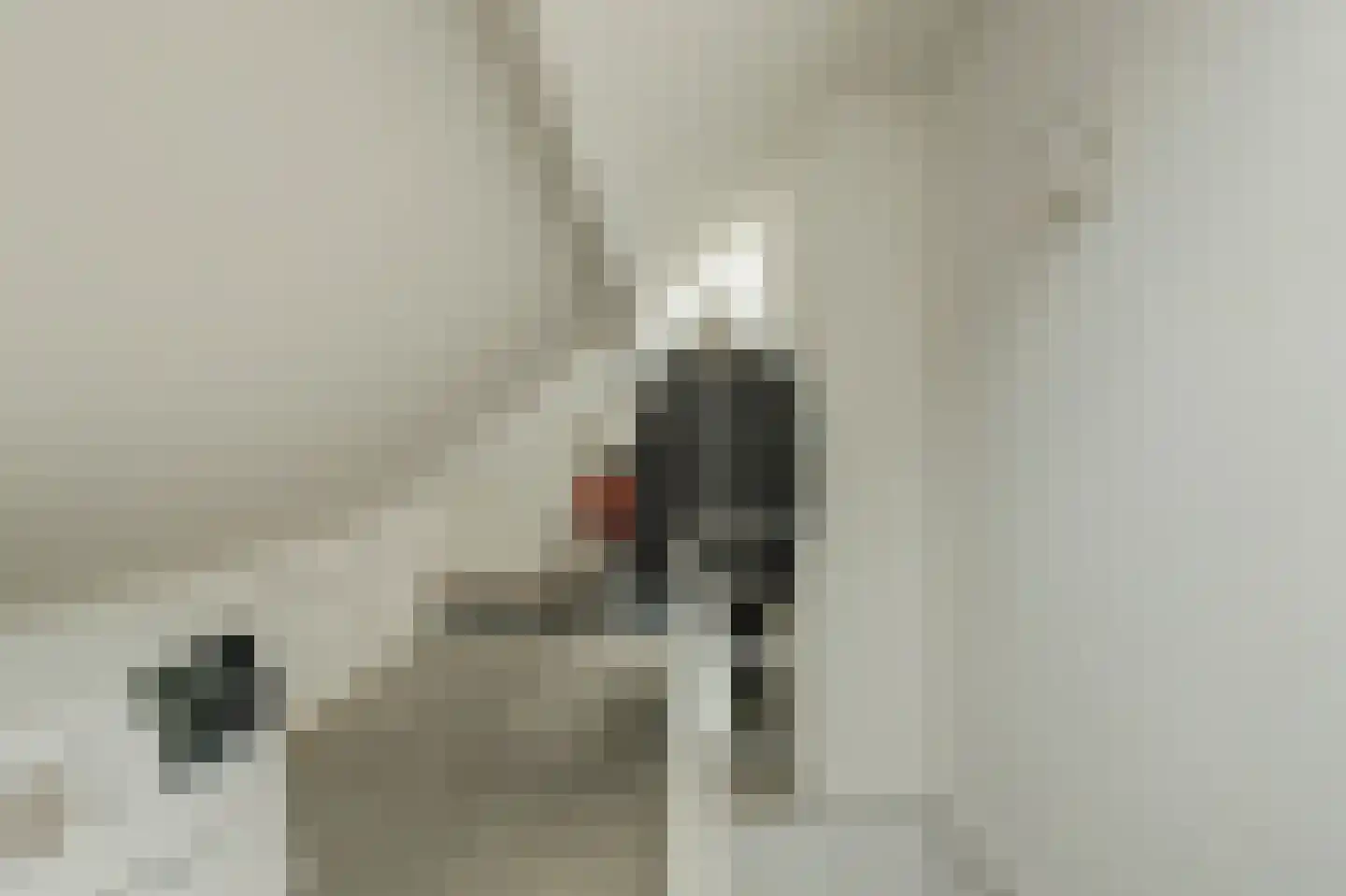 Sophiastraat 65 Gouda thumbnail 31