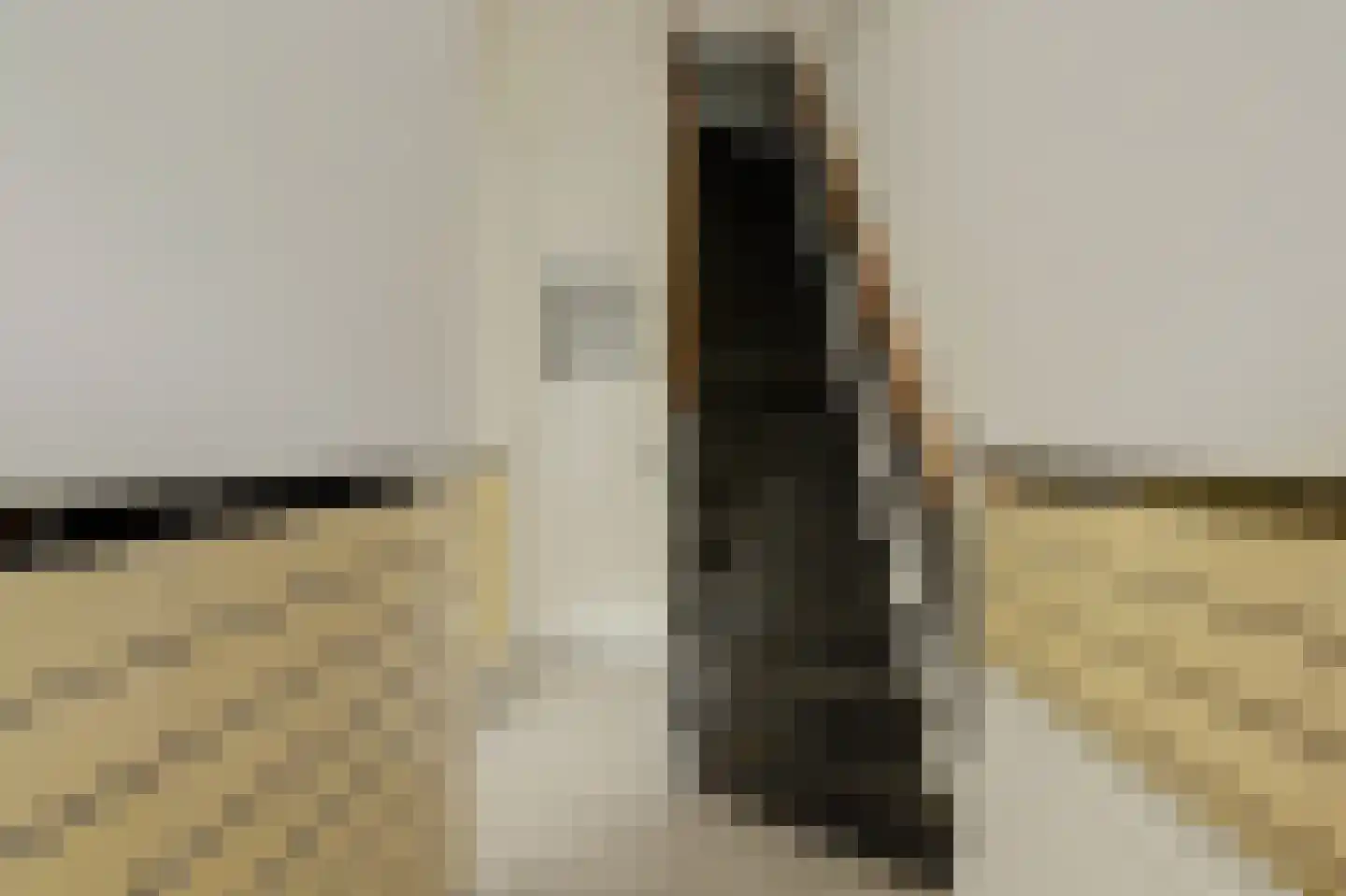 Sophiastraat 65 Gouda thumbnail 7