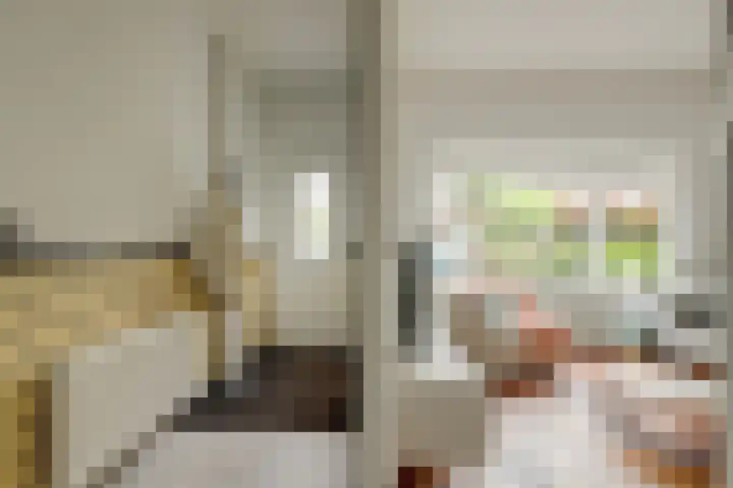 Sophiastraat 65 Gouda thumbnail 8