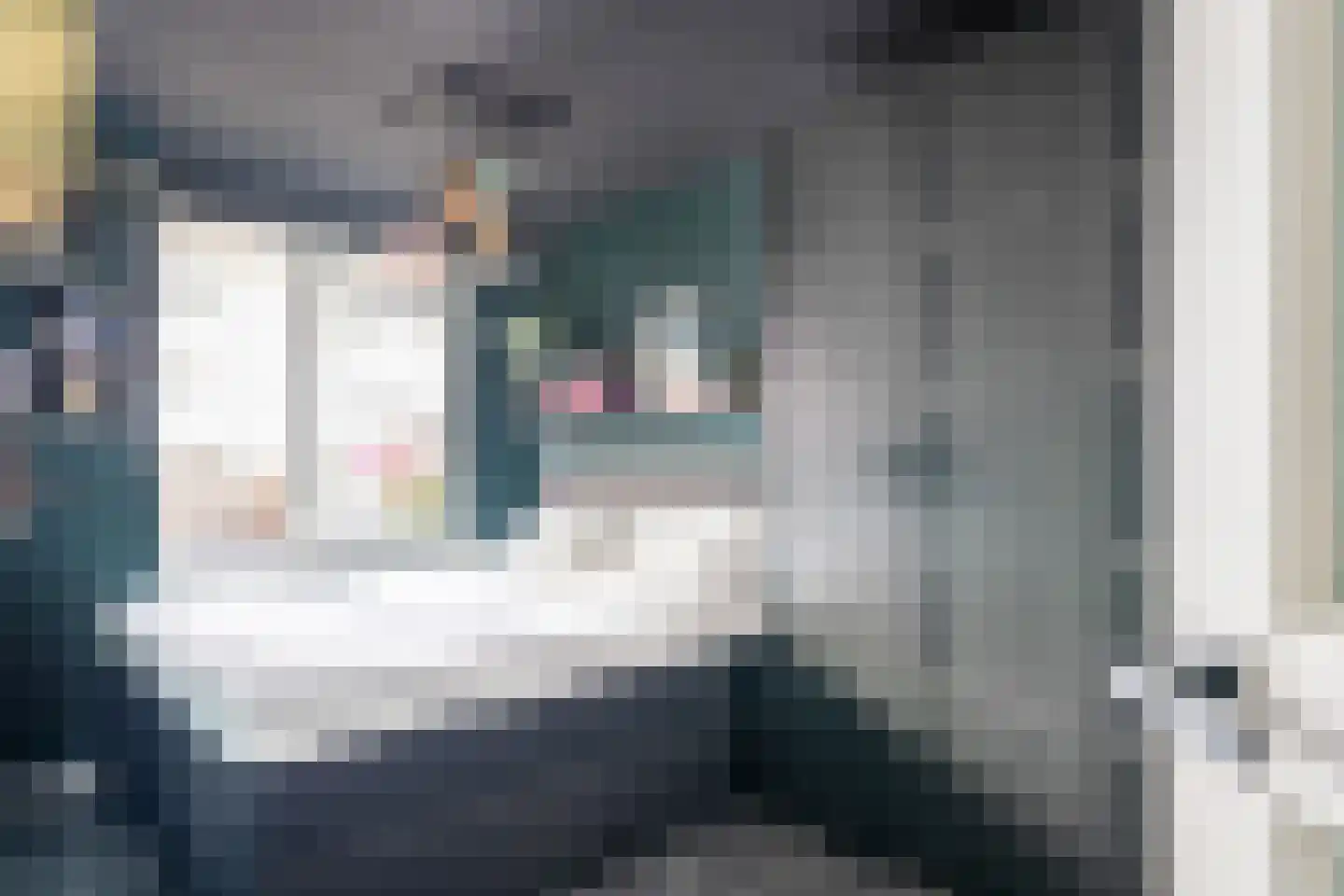 Sophiastraat 7 B Rotterdam thumbnail 34