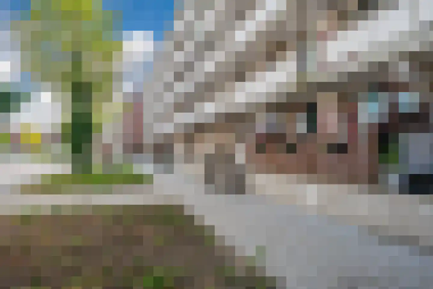 Sophiastraat 7 B Rotterdam thumbnail 46