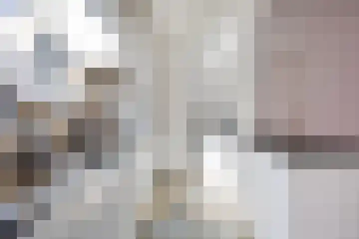 Sophiastraat 7 Leiden thumbnail 11
