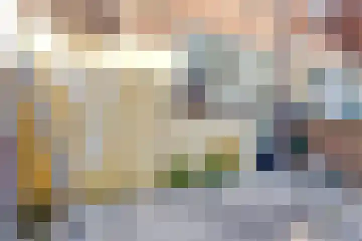 Sophiastraat 7 Leiden thumbnail 30