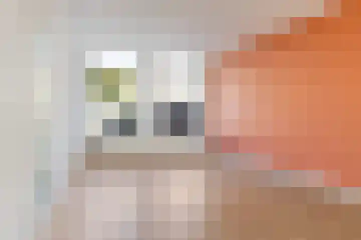 Sophiastraat 7 Leiden thumbnail 6