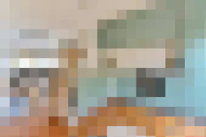Sophiastraat 72 Gouda thumbnail 11