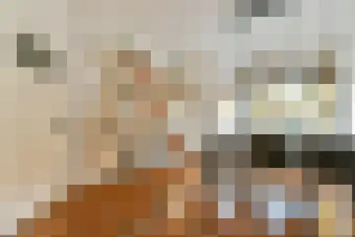Sophiastraat 72 Gouda thumbnail 13