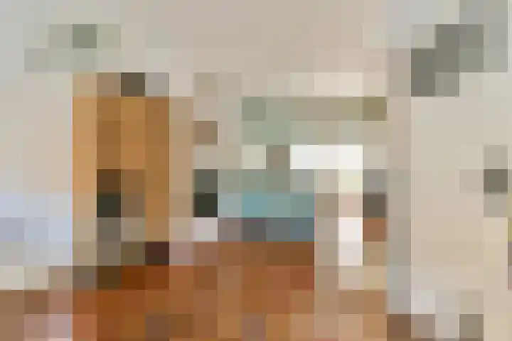 Sophiastraat 72 Gouda thumbnail 15