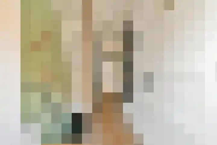 Sophiastraat 72 Gouda thumbnail 18