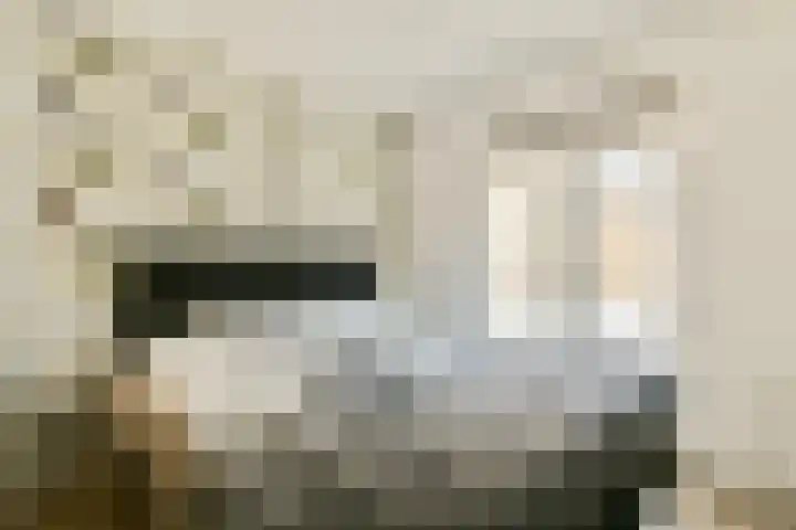 Sophiastraat 72 Gouda thumbnail 19