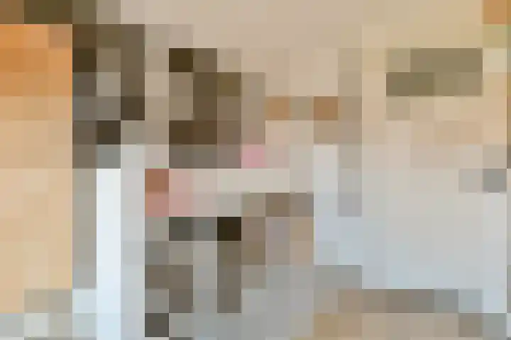 Sophiastraat 72 Gouda thumbnail 25