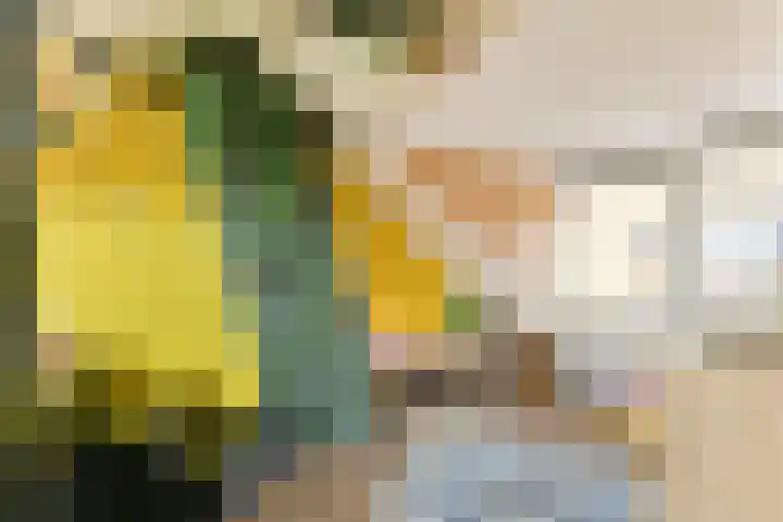 Sophiastraat 72 Gouda thumbnail 33