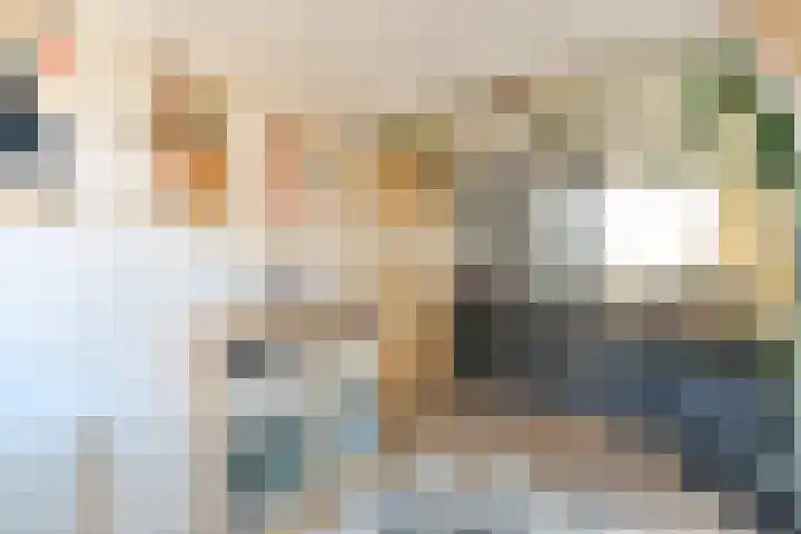 Sophiastraat 72 Gouda thumbnail 35
