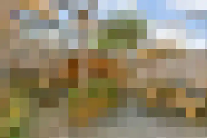 Sophiastraat 72 Gouda thumbnail 38