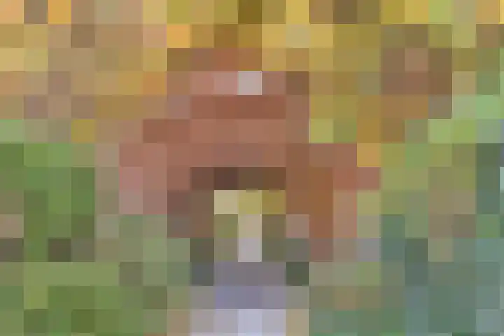 Sophiastraat 72 Gouda thumbnail 40