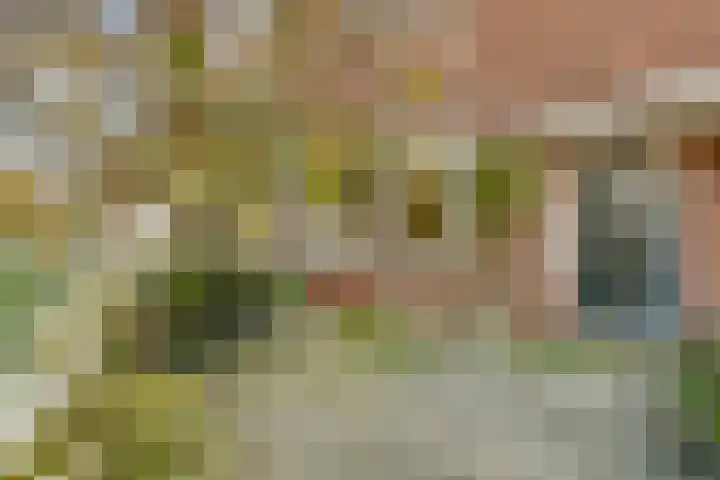 Sophiastraat 72 Gouda thumbnail 7