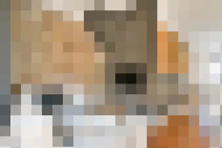 Sophiastraat 72 Gouda thumbnail 9