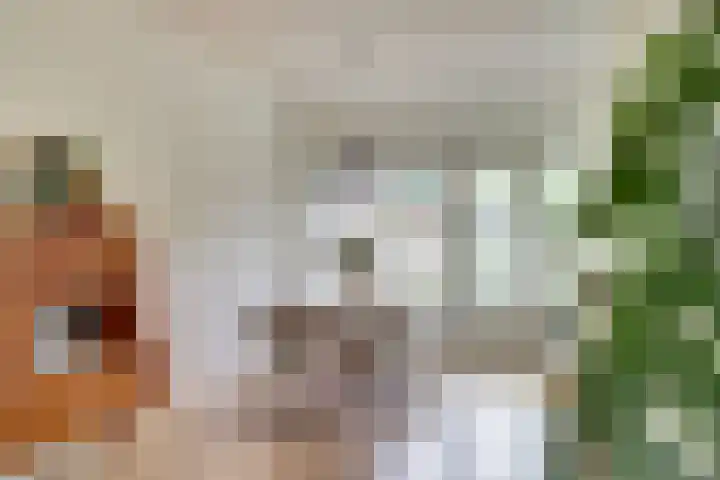 Sophiastraat 73 Gouda thumbnail 10