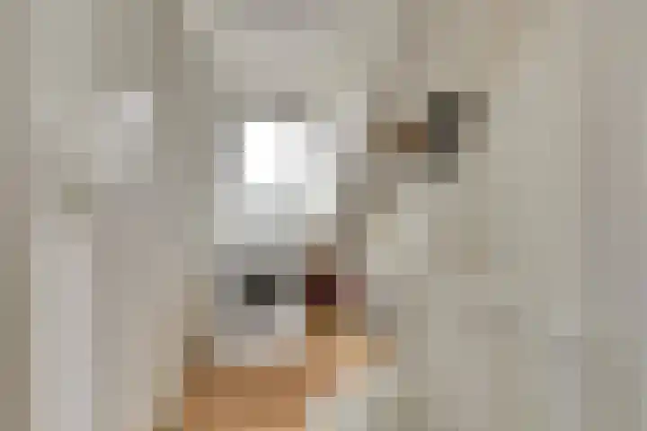 Sophiastraat 73 Gouda thumbnail 23