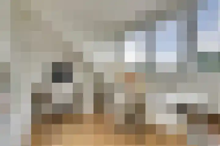 Sophiastraat 73 Gouda thumbnail 24