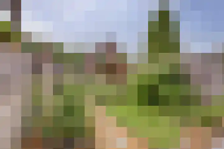 Sophiastraat 73 Gouda thumbnail 30