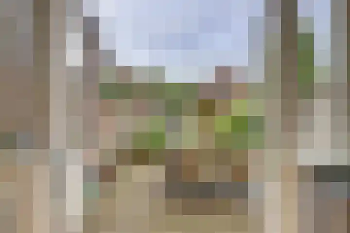 Sophiastraat 73 Gouda thumbnail 31
