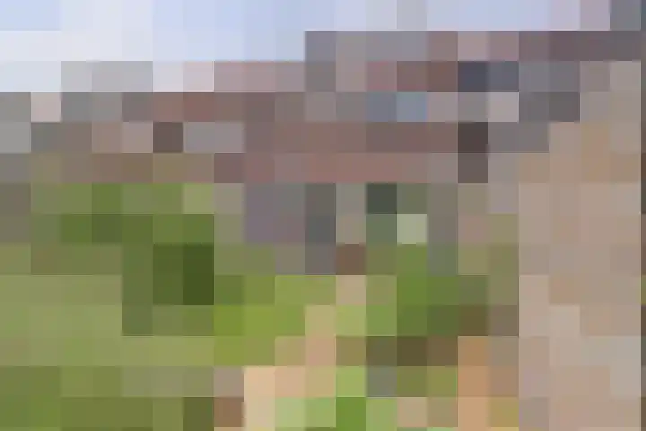 Sophiastraat 73 Gouda thumbnail 32