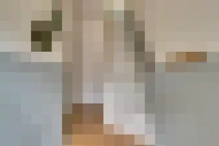Sophiastraat 73 Gouda thumbnail 5