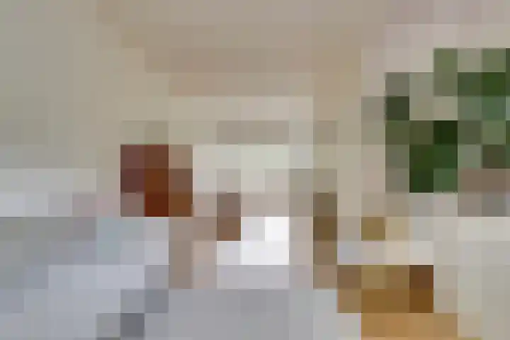 Sophiastraat 73 Gouda thumbnail 6