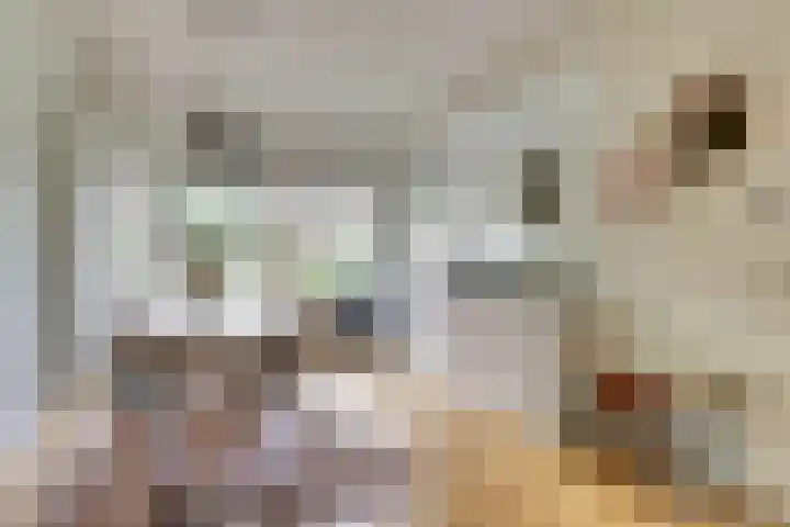 Sophiastraat 73 Gouda thumbnail 7