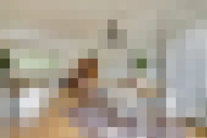 Sophiastraat 73 Gouda thumbnail 8