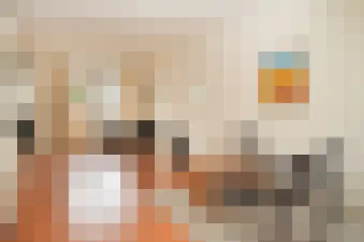 Sophiastraat 8 Zaltbommel thumbnail 12