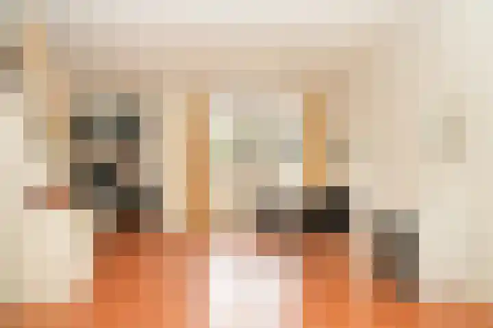 Sophiastraat 8 Zaltbommel thumbnail 13