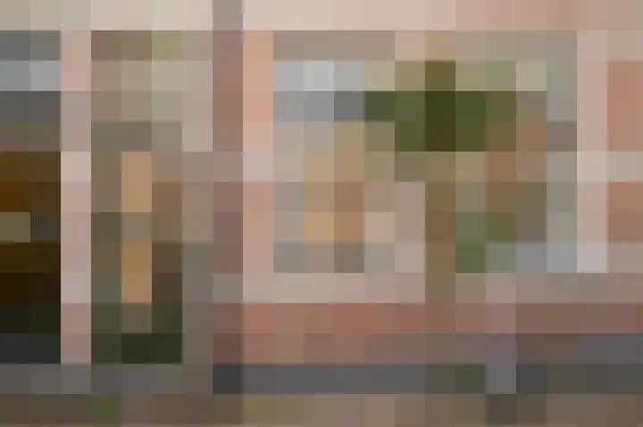 Sophiastraat 8 Zaltbommel thumbnail 21