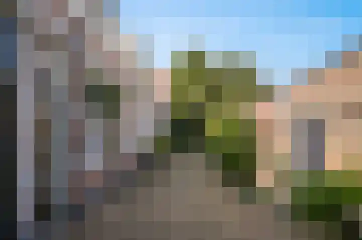 Sophiastraat 8 Zaltbommel thumbnail 22