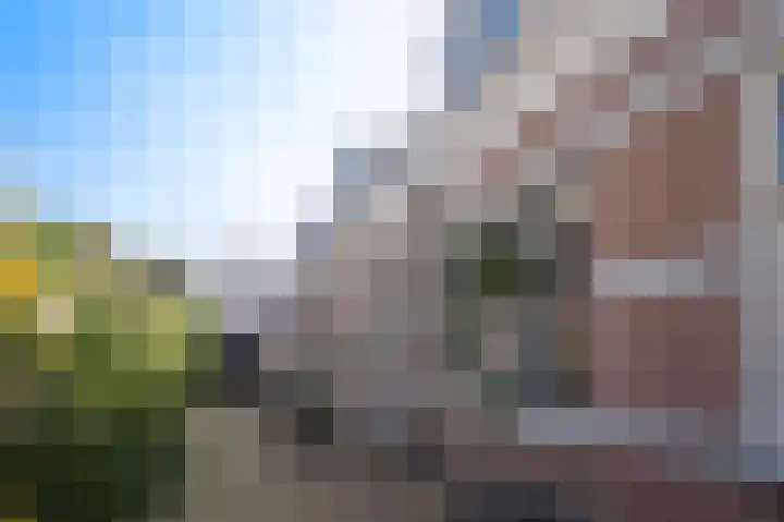 Sophiastraat 8 Zaltbommel thumbnail 23