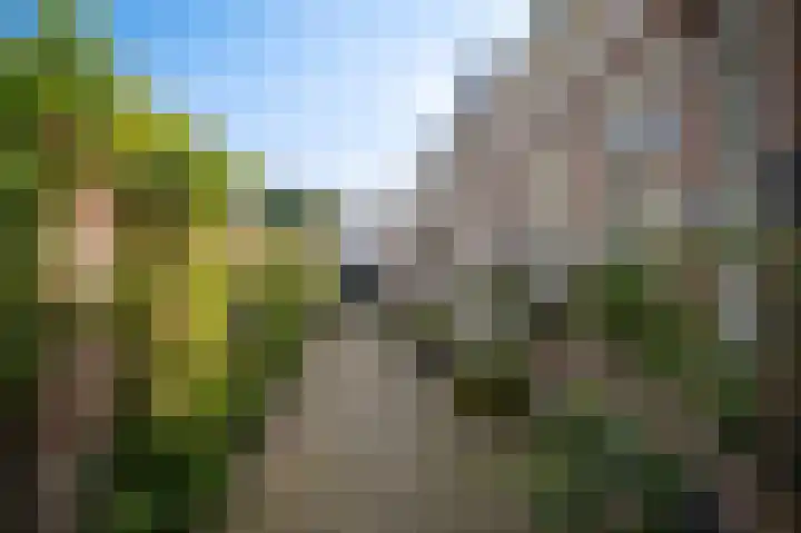 Sophiastraat 8 Zaltbommel thumbnail 25