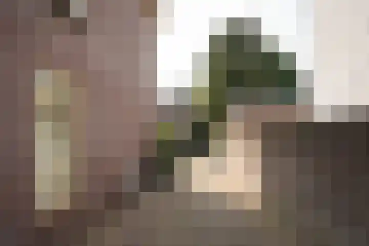 Sophiastraat 8 Zaltbommel thumbnail 27