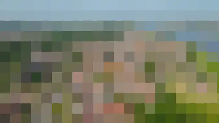 Sophiastraat 8 Zaltbommel thumbnail 33