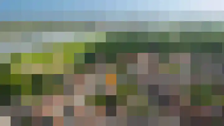 Sophiastraat 8 Zaltbommel thumbnail 34